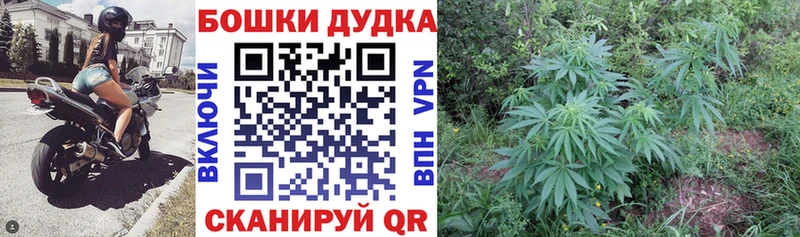 Каннабис SATIVA & INDICA  Верхний Уфалей 